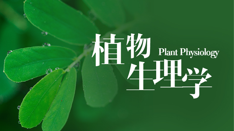 植物生理学期末考试答案题库2024秋