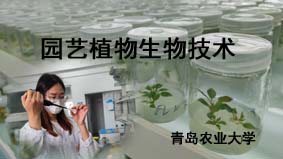 园艺植物生物技术（山东联盟）章节测试课后答案2024春