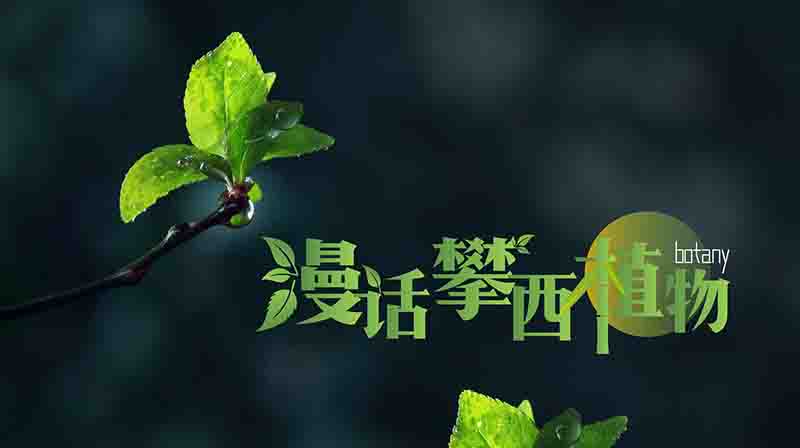 漫话攀西植物期末考试答案题库2024秋