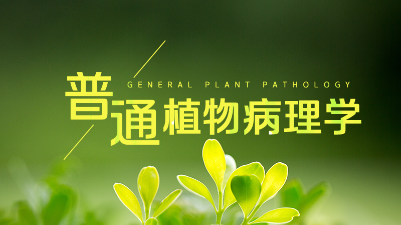 普通植物病理学（视频课）章节测试课后答案2024秋