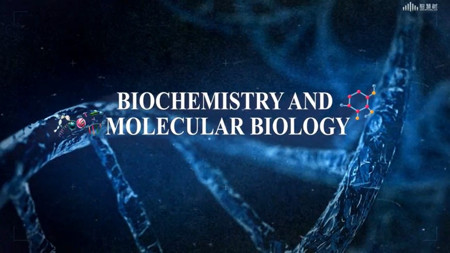 生物化学与分子生物学（MBBS）期末考试答案题库2024秋