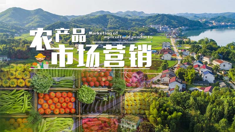 农产品市场营销章节测试课后答案2024春