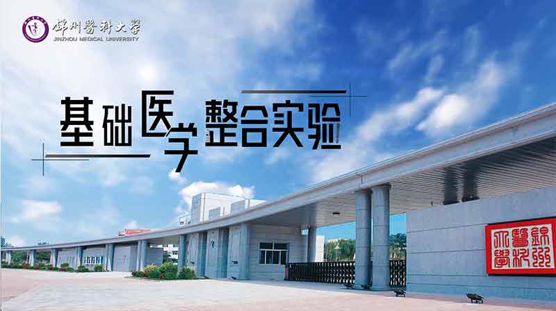 基础医学整合实验（中文）期末答案和章节题库2024春