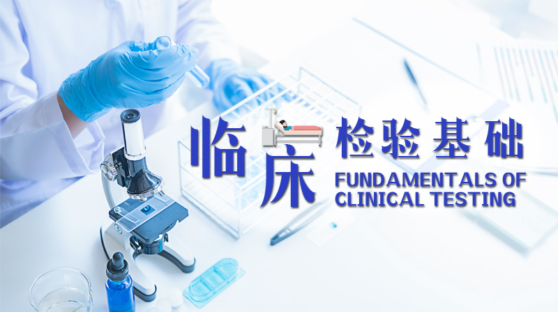 临床检验基础期末考试答案题库2024秋