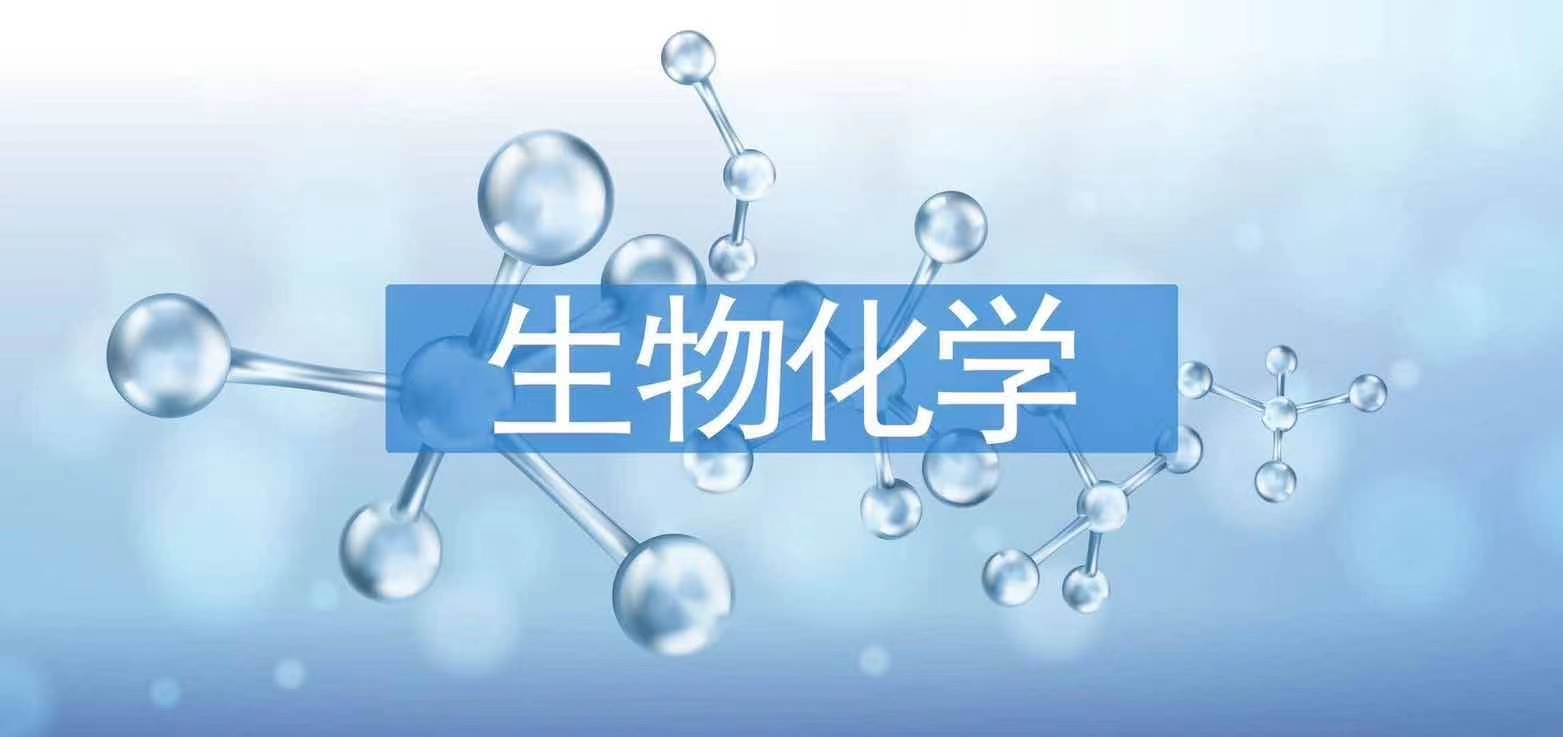 生物化学A　（山东联盟）章节测试课后答案2024春