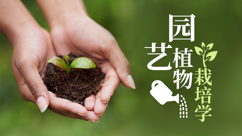 园艺植物栽培学期末考试答案题库2024秋