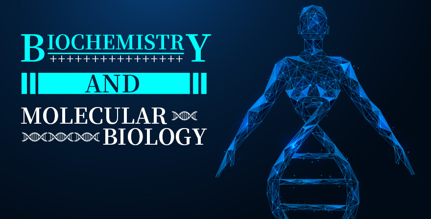 生物化学与分子生物学期末考试答案题库2024秋