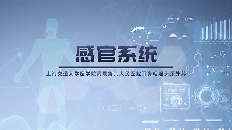 感官系统章节测试课后答案2024春