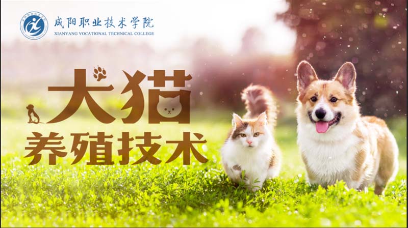 犬猫养殖技术期末考试答案题库2024秋