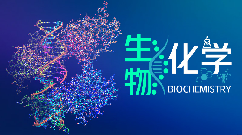 生物化学章节测试课后答案2024春