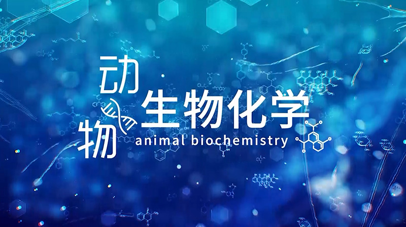 动物生物化学章节测试课后答案2024春