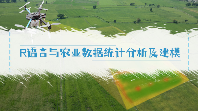 R语言与农业数据统计分析及建模章节测试课后答案2024春