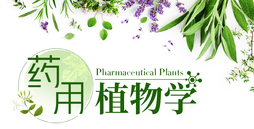 药用植物学章节测试课后答案2024春