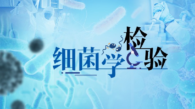 细菌学检验期末考试答案题库2024秋