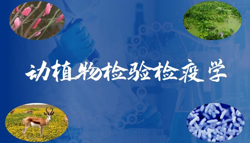 动植物检验检疫学章节测试课后答案2024春