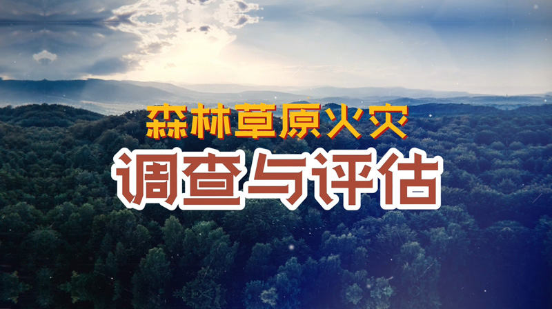 森林草原火灾调查与评估期末答案和章节题库2024春