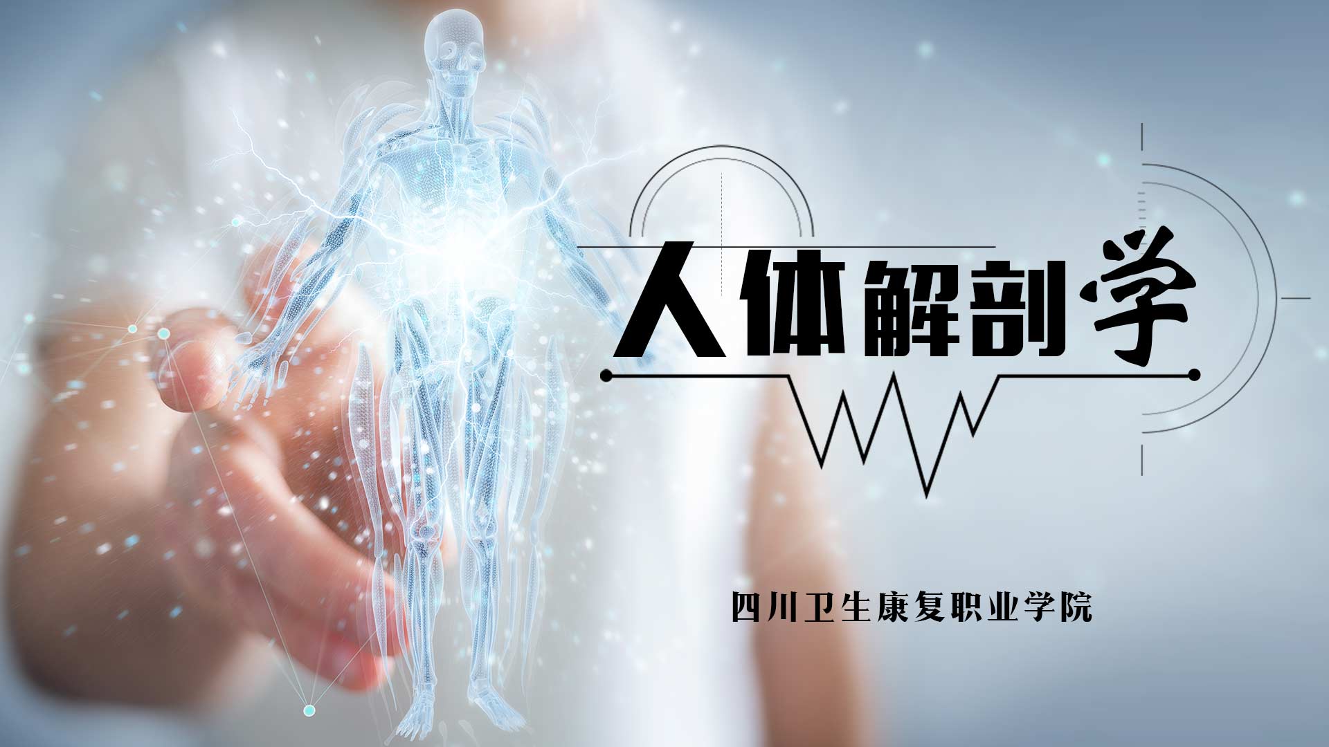 人体解剖学章节测试课后答案2024春