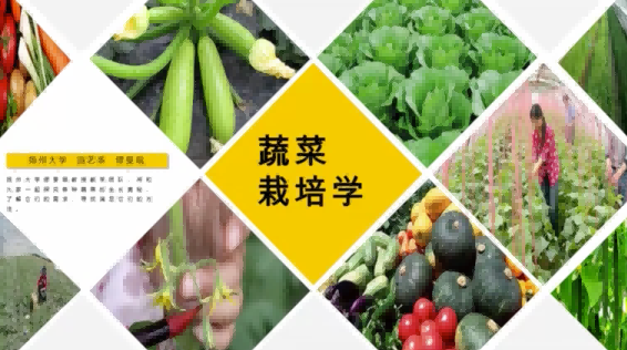 蔬菜栽培学期末答案和章节题库2024春