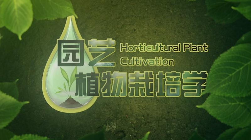 园艺植物栽培学期末答案和章节题库2024春