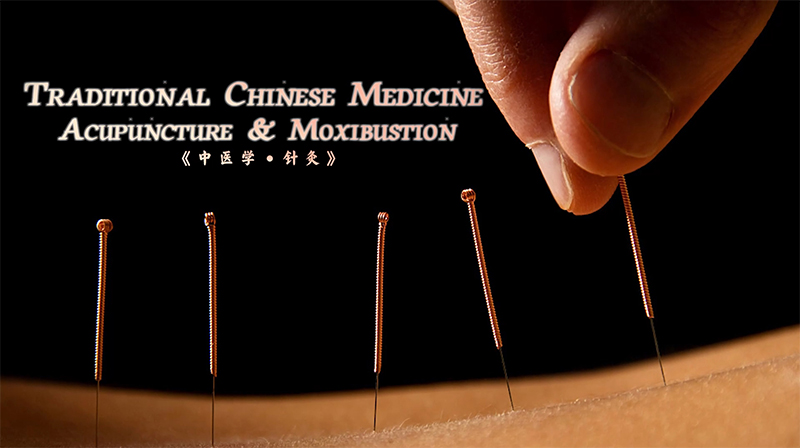 Traditional Chinese Medicine·Acupuncture & Moxibustion章节测试课后答案2024秋