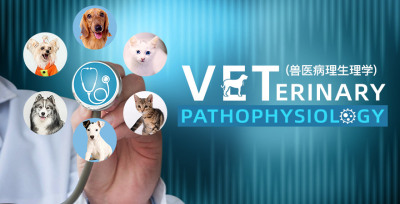 Veterinary Pathophysiology—智慧树网