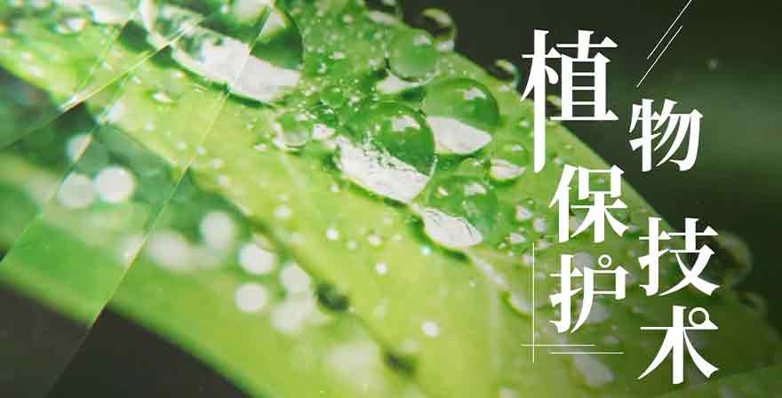 植物保护技术章节测试课后答案2024秋