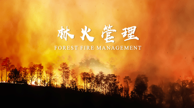 林火管理—智慧树网