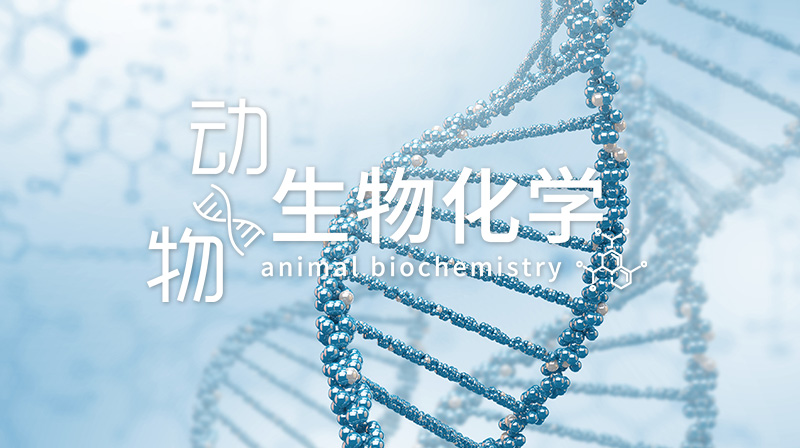 动物生物化学章节测试课后答案2024秋