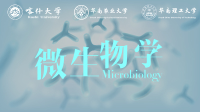 微生物学—智慧树网
